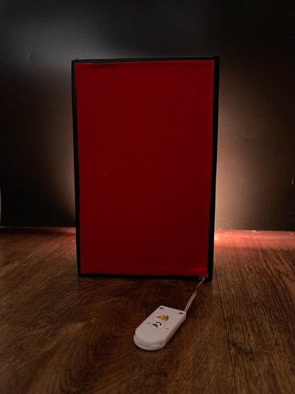 THE SHELBY – Resin Light Art